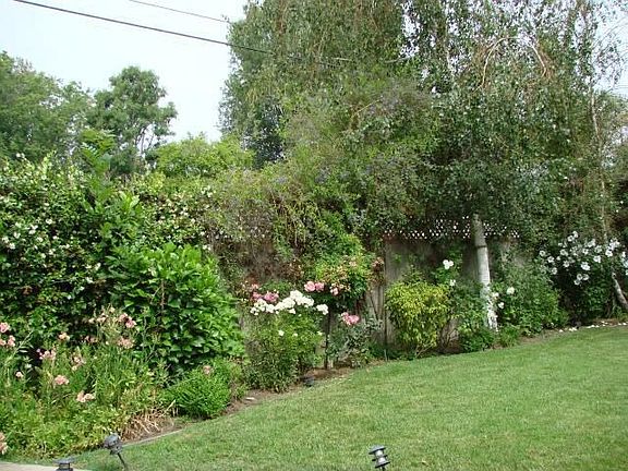 west side of rear yard