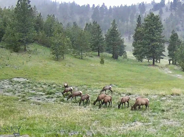 4915 W Us Highway 12, Helena, MT 59601