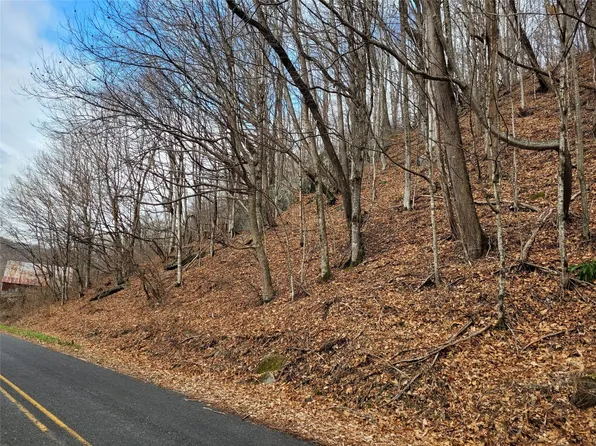 Green Creek Rd, Bakersville, NC 28732