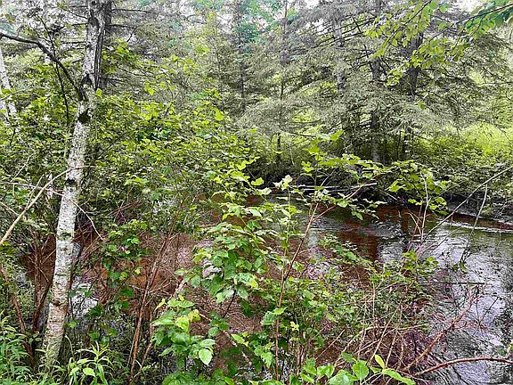 3rd image of W8801 Moonshine Hill Rd