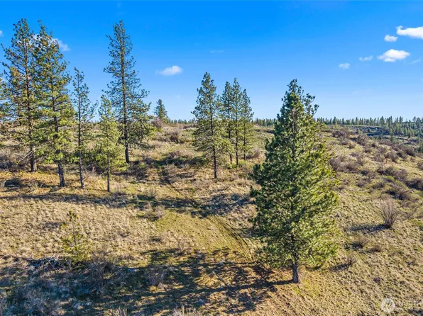 27220 Underwood Canyon, Creston, WA 99117