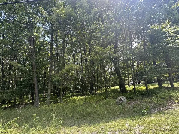 LOT 19 E Alpine Dr, Terra Alta, WV 26764