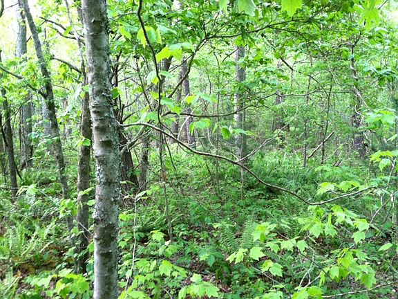 4th image of 3 Acres Trackrock