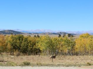92 Grand Teton Ct, Hartsel, CO 80449