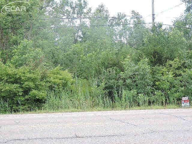 1st image of 0 E Maple Ave