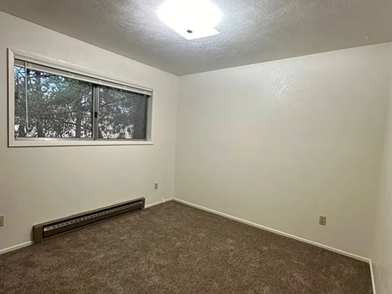 118 N Williams Ave — Photo 9