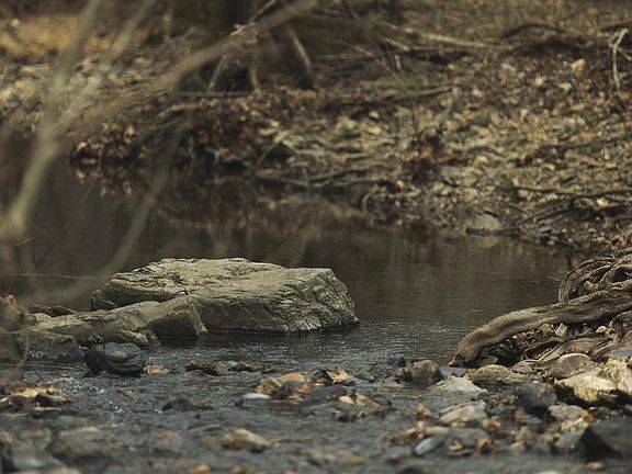 2nd image of Polk Rd #615