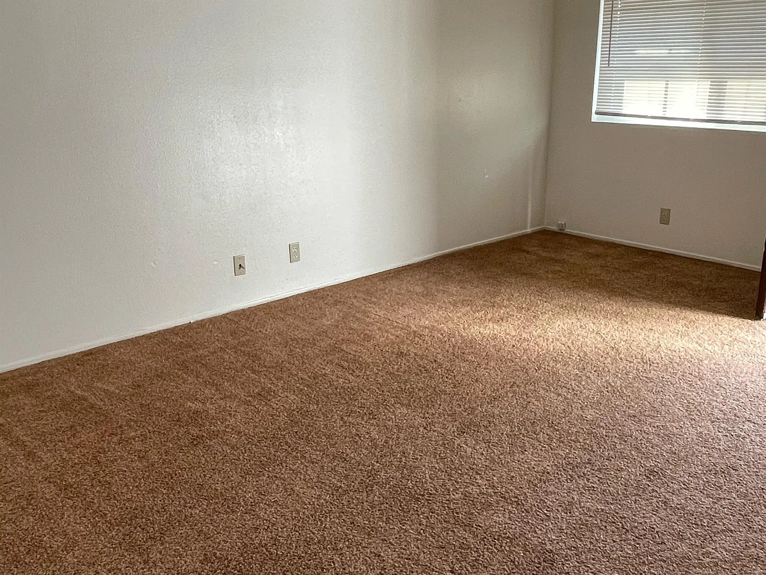 1089 High Street - 4 — Photo 2
