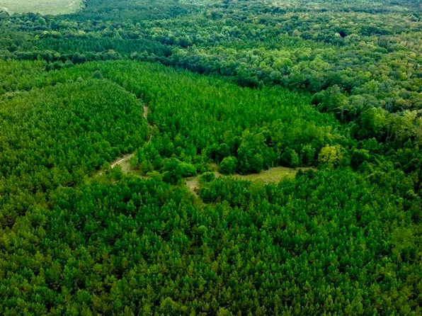 0 Les Smith Rd, Ellaville, GA 31806