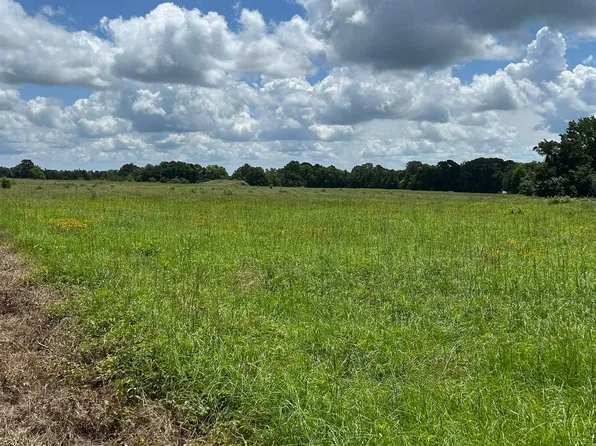 County Road 246, Beckville, TX 75631