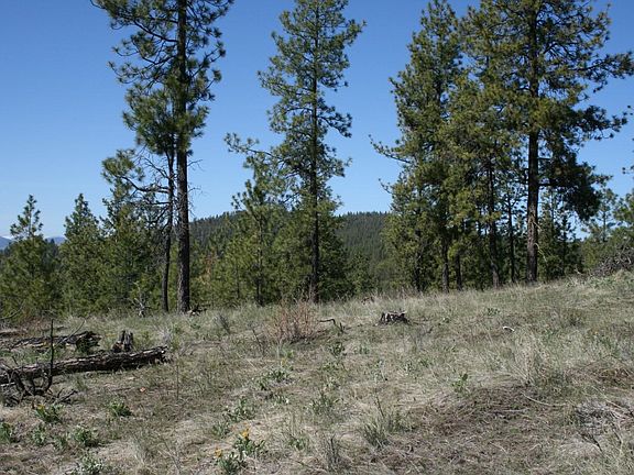 2nd image of Xx Coyote Canyon Rd