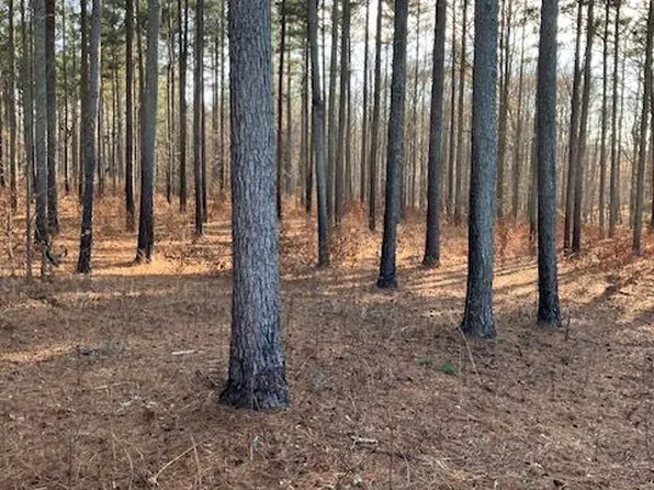 280 Woodville Philomath Rd, Rayle, GA 30660