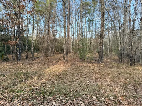 Indian Spgs, Livingston, TX 77351