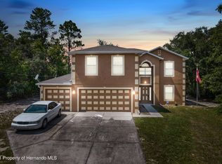 11143 Persimmon Ave, Weeki Wachee, FL 34614