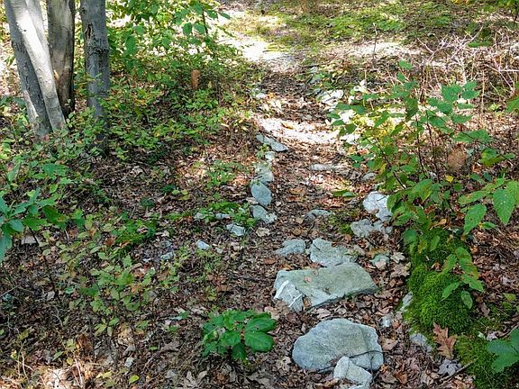 Walking path rear of lot