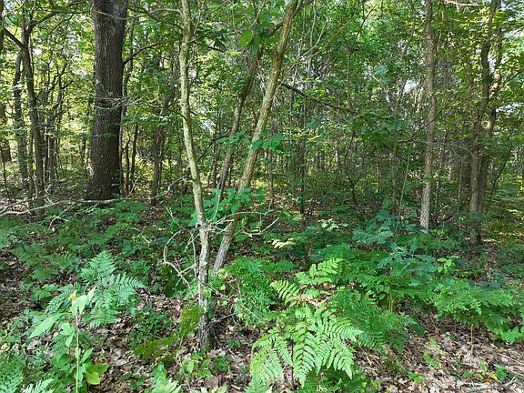 5th image of 6539 E Madison Rd