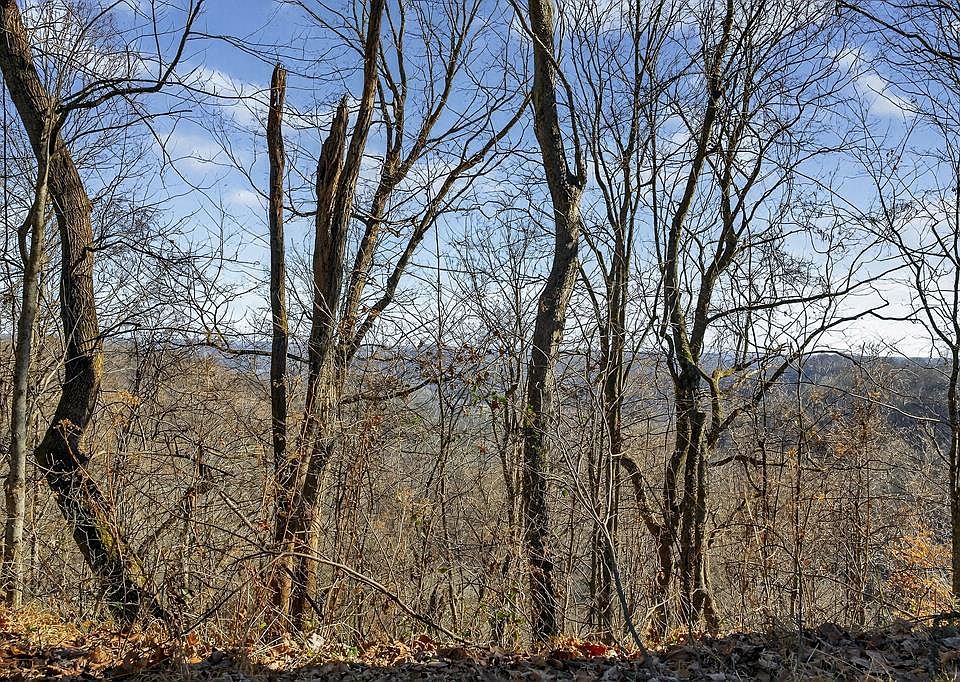 46th image of this home