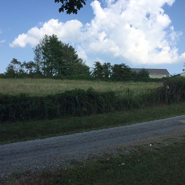 2nd image of 341 Marhoover Rd
