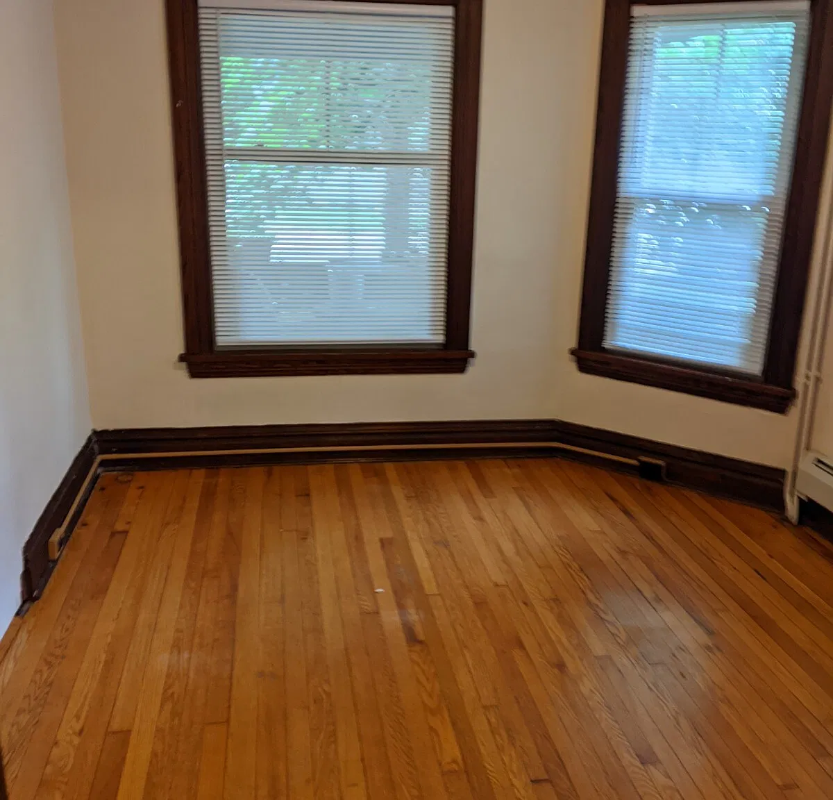909 N Cayuga St — Photo 4