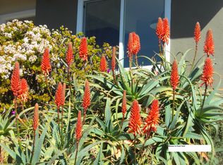 1923 Montgomery Ave, Cardiff, CA 92007