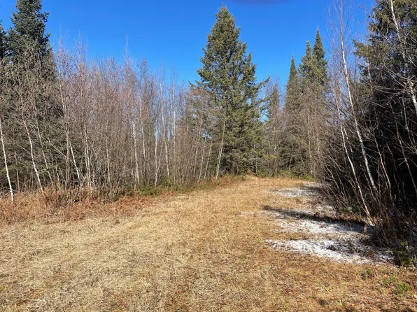 N1559 Bjorklund Rd, Ogema, WI 54459