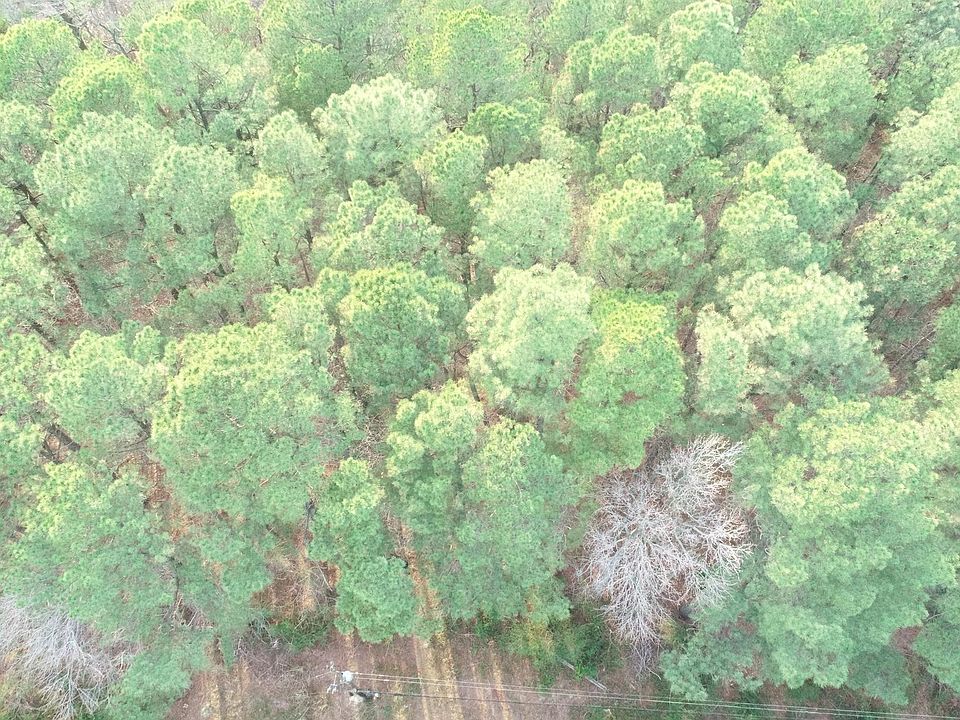 1st image of Ackerman Dr