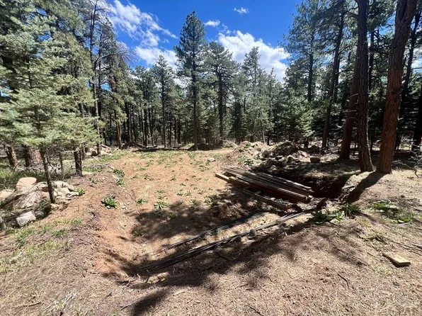 8231 Oak Ave, Rye, CO 81069