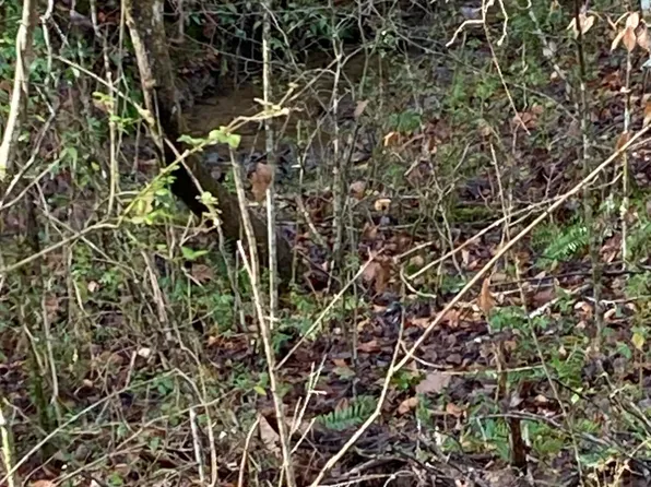 LOT-53A Fiesta Blvd, Sevierville, TN 37876