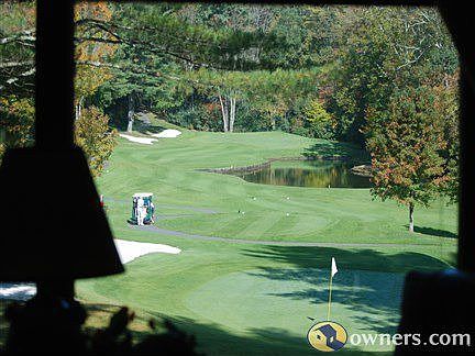 Inside view of golf course