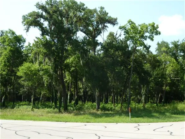 32711 Wales Cir, Fulshear, TX 77441