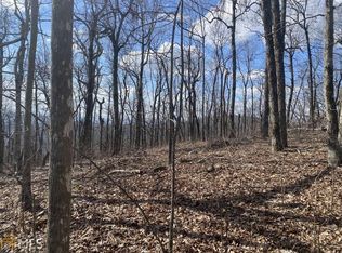 0 Monument Rd LOT 10, Jasper, GA 30143