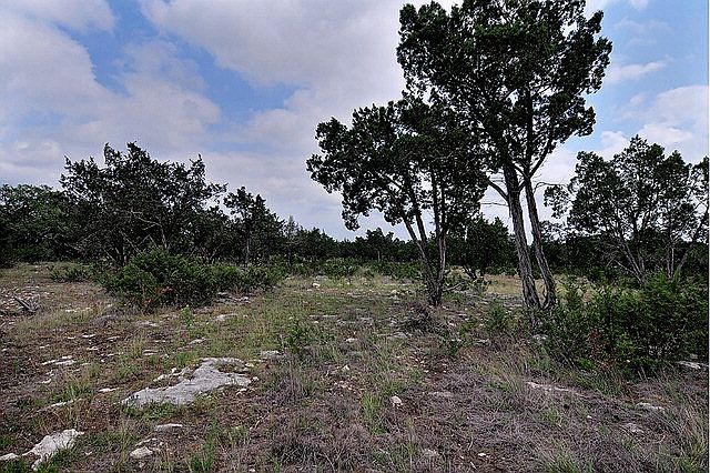 2nd image of 983 Landmark Rd