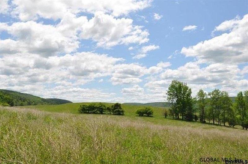 2nd image of 0 SWITZKILL Road