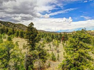 1534 Fitzsimmons Dr, Hartsel, CO 80449