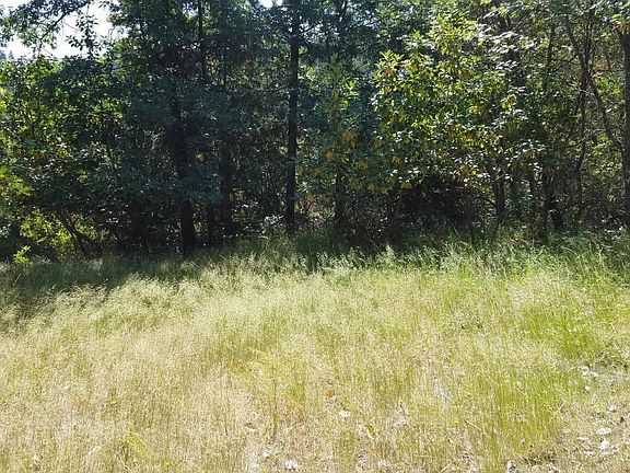 5th image of 603 Ashland Creek Dr