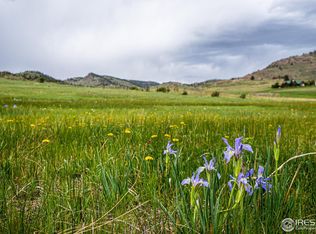 816 Meadow Way, Livermore, CO 80536