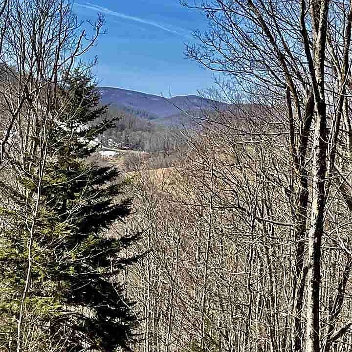 801 Wilma Lee Memorial Dr, Glady, WV 26268 Zillow