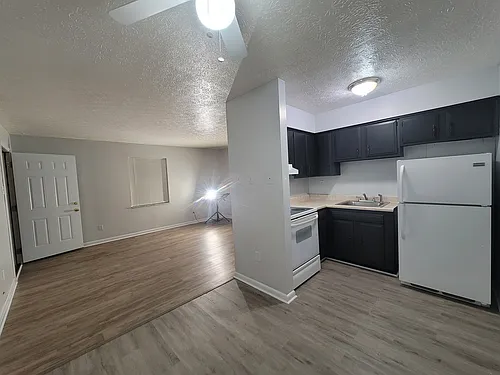 713 Mill St #1 Photo 1