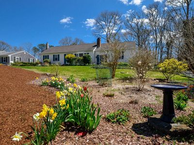 43 Souwest Dr, Harwich, MA, 02645