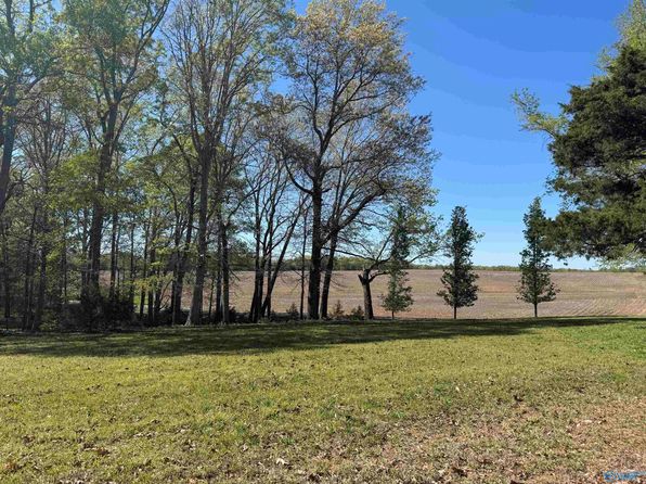 1186 J B Walker Rd, New Market, AL 35761