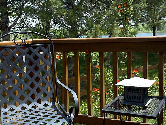 Pond view thru trees of deck
