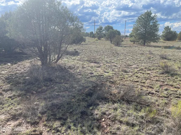 2752 Zane Grey Blvd, Overgaard, AZ 85933