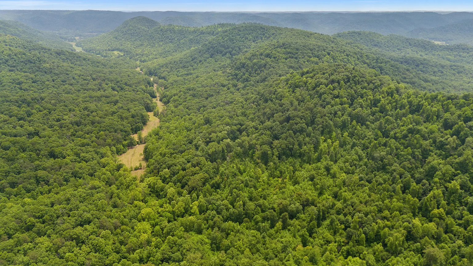 275 Horns River Rd photo 1