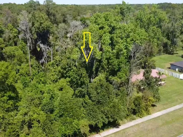 1411 FRUIT COVE Road, St. Johns, FL 32259