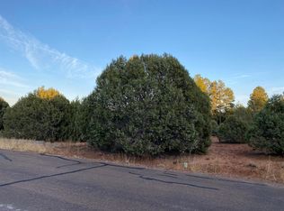 931 Mountain Trl, Show Low, AZ 85901