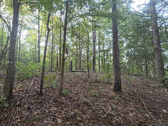 3rd image of County Road 254