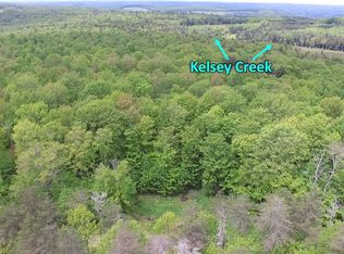 15.1 Ward Loomis Rd #15, Oxford, NY 13830