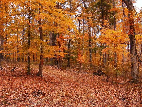 drivable trail up to top of ridge