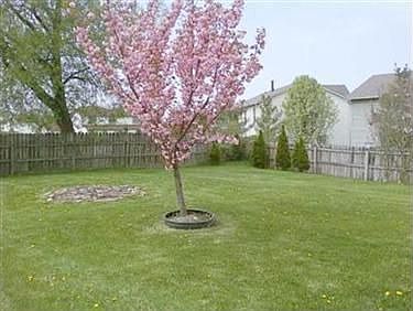 4th image of 4219 Raymond Dr