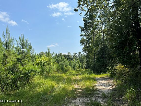 Jim Walker Rd, Waynesboro, MS 39367 | MLS #4053821 | Zillow